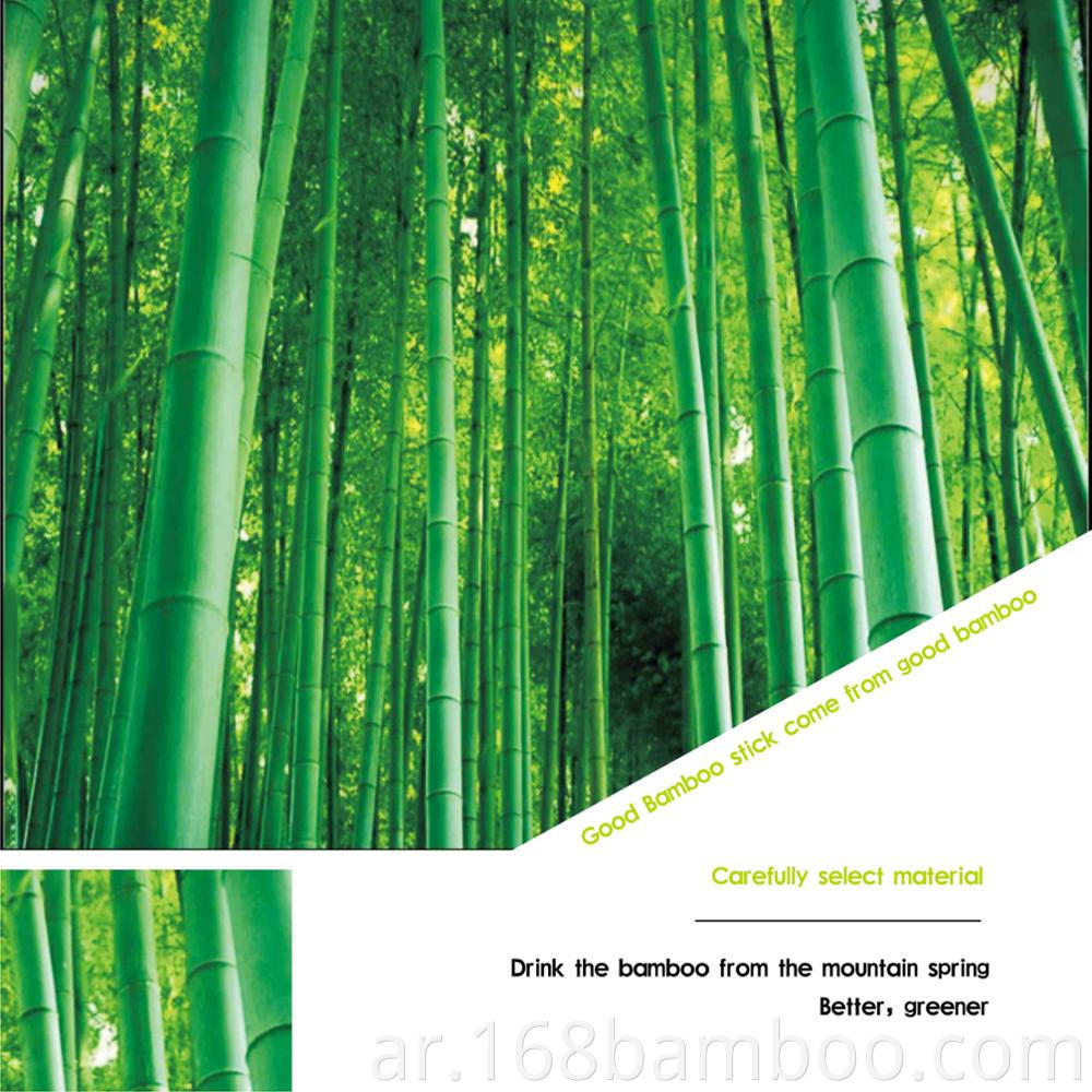 Natural Bamboo for Material
